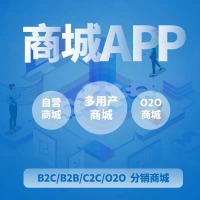 APP開發(fā)